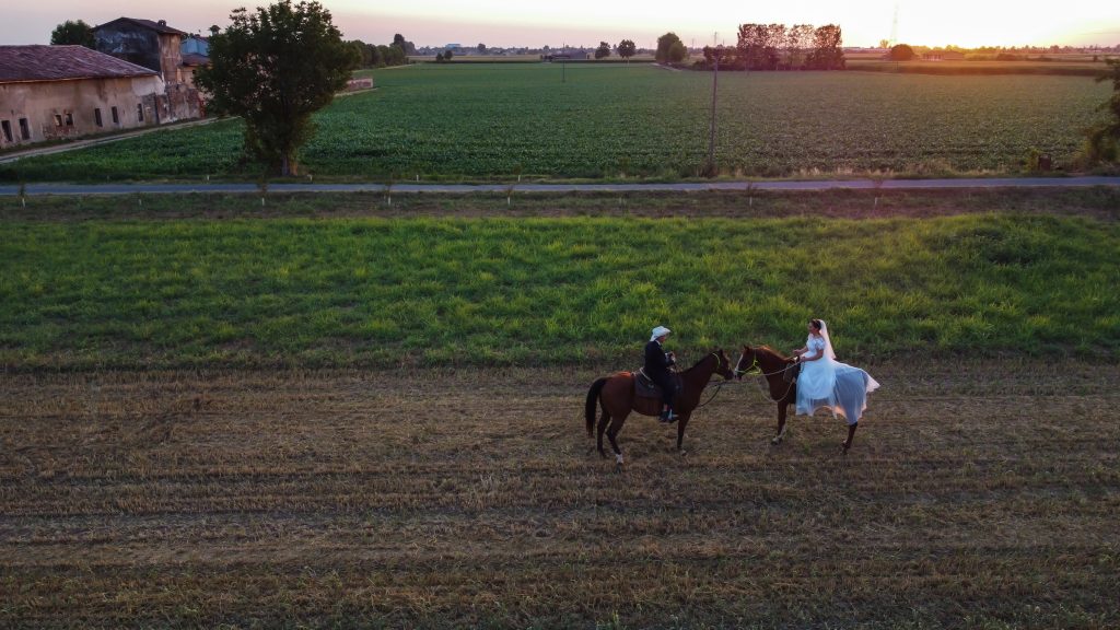 trash the dress 